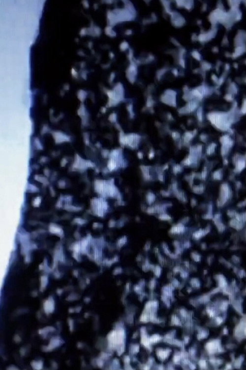 Untitled 3 Poster