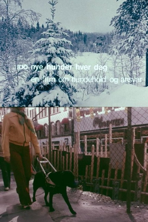 Oslofilm: Hundre nye hunder hver dag Poster