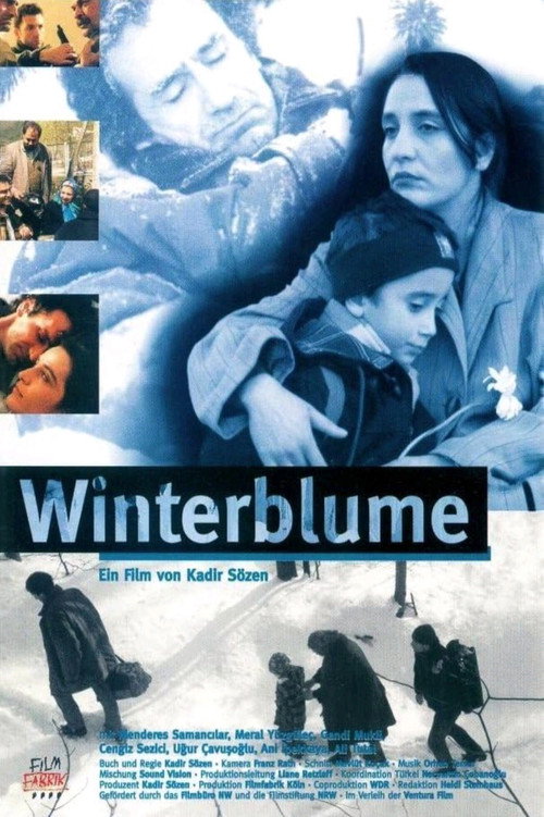 Winter Flowers Poster