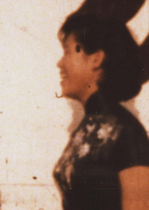 Jellyfish Sandwich Poster