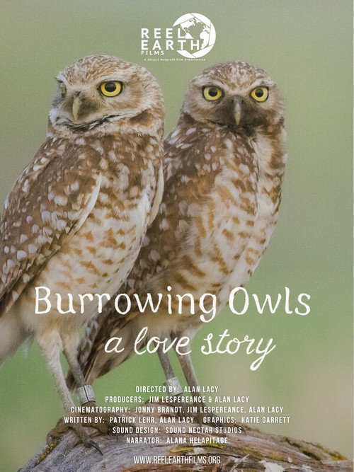 Burrowing Owls: A Love Story Poster