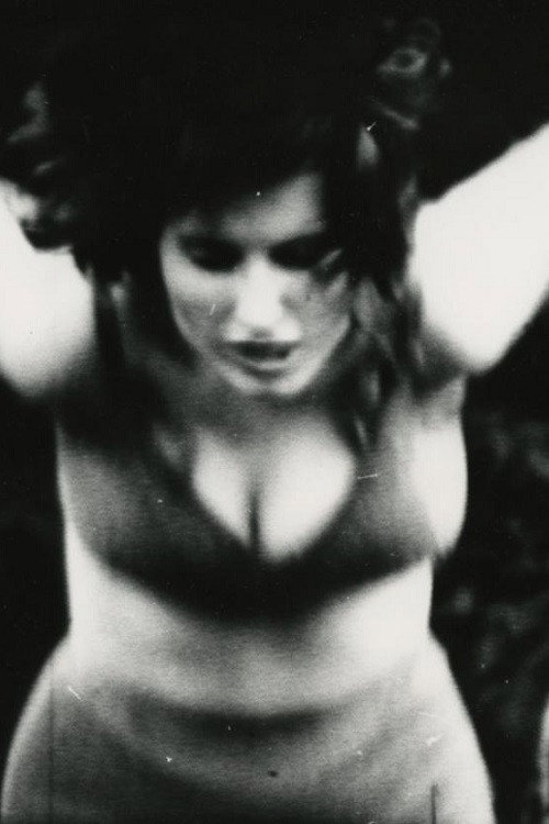 The Sleeping Beauty Poster