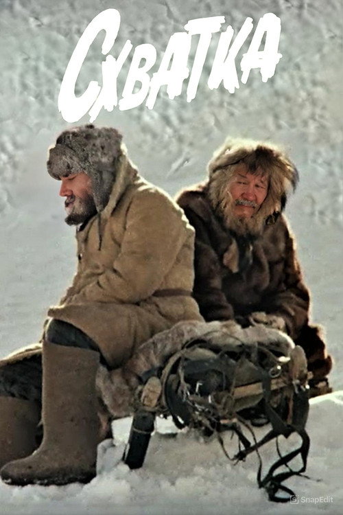 Fighting Poster
