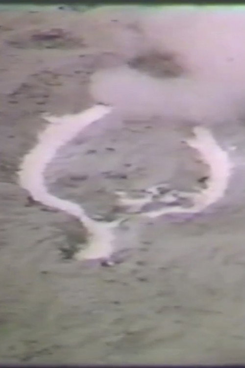 Untitled Silueta Poster