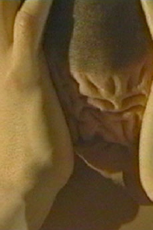 The Eastern House Poster