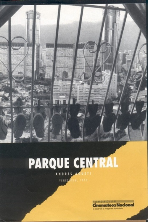Parque Central Poster