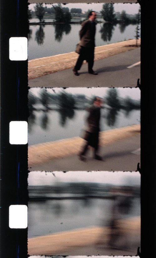 Effeuiller l'acanthe Poster