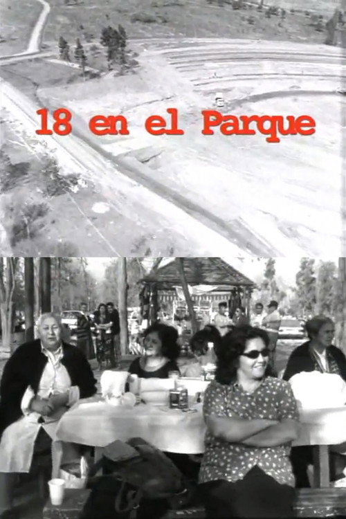 18 en el parque Poster