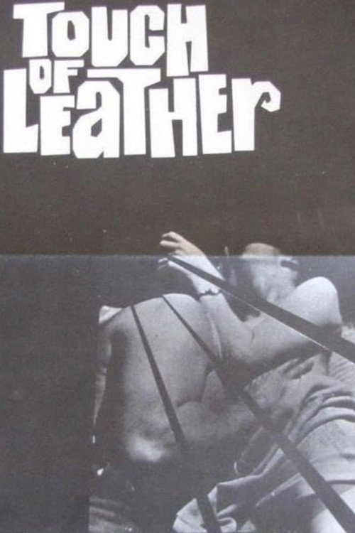 Touch Of Leather Poster