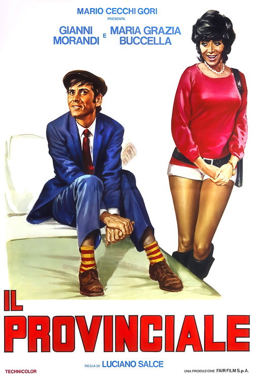Il provinciale Poster