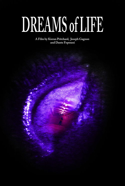 Dreams of Life Poster