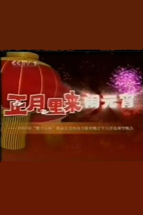 2003年中央电视台元宵晚会 Poster