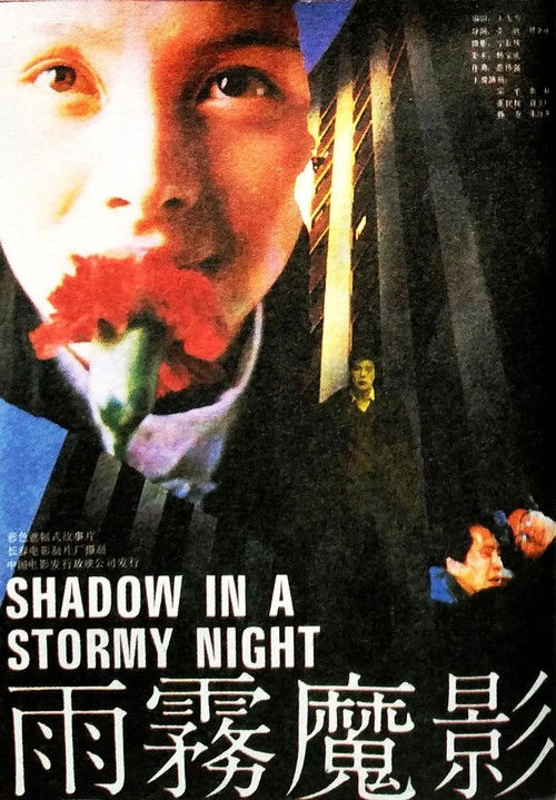 Shadow in a Stormy Night Poster