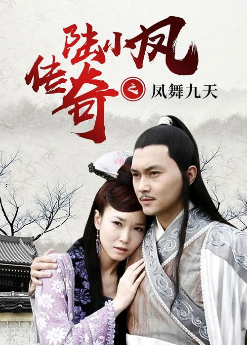 The Legend of Lu Xiaofeng 9 Poster