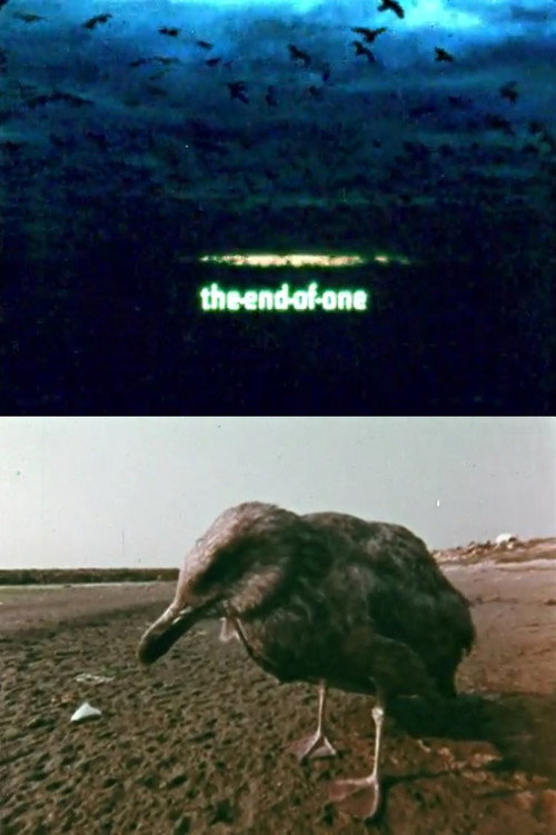 The End of One Poster