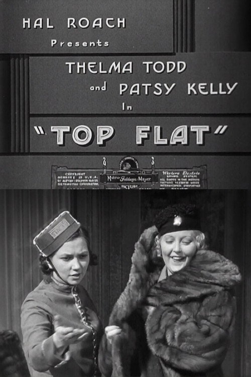 Top Flat Poster