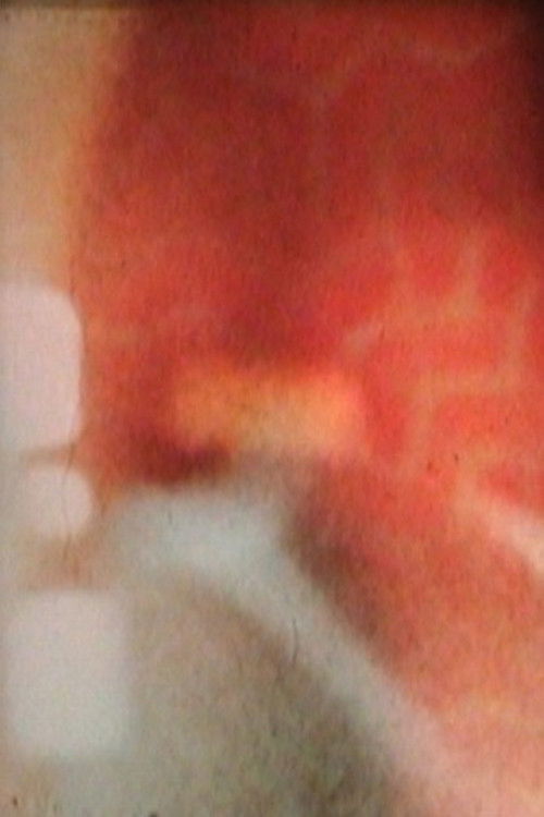 Along with the Phoenix Poster