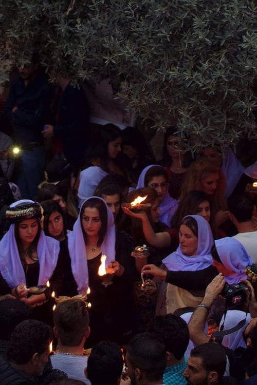 Following the Peacock Poster