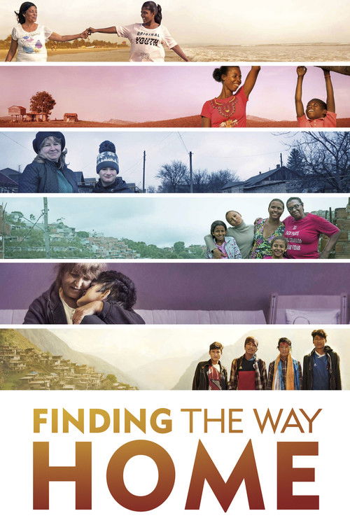 Finding the Way Home Poster