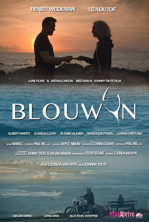 Blouwyn Poster