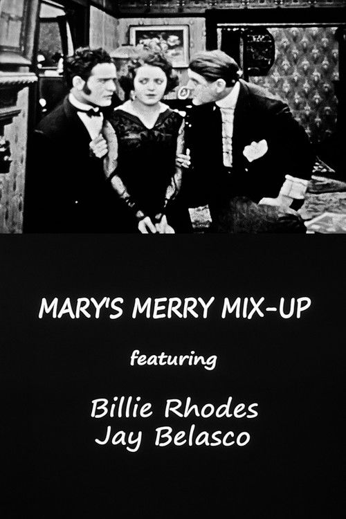 Mary's Merry Mix-Up Poster