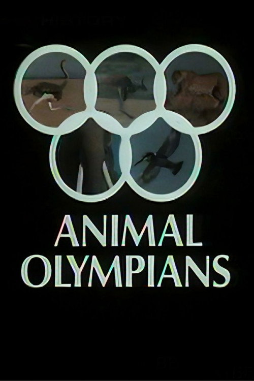 Animal Olympians Poster