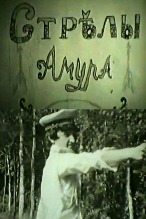 Cupid's Arrows Poster