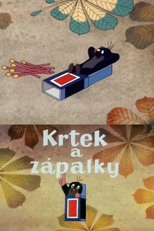 The Mole and the Matches Poster