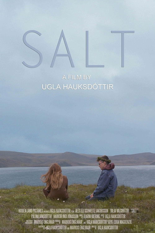 Salt Poster