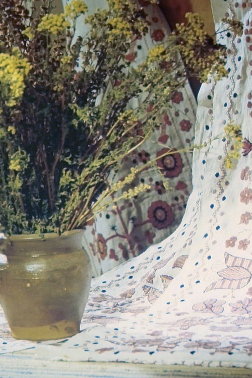 Visual Imagery in Cinema Poster