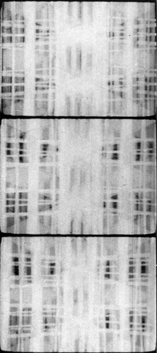 Maine Montparnasse Poster