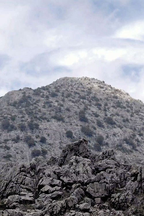 The Interpreter Poster