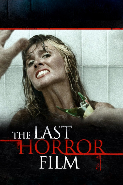 The Last Horror Film Poster