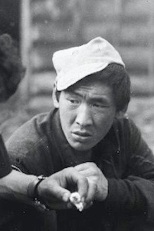 Tofalaria Poster