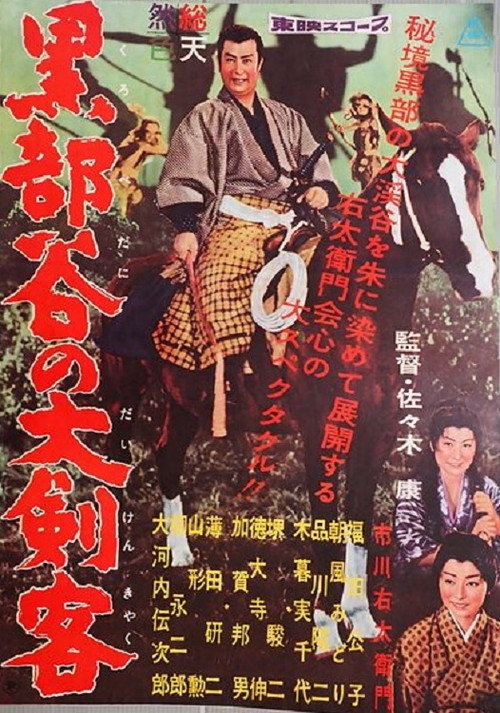 The Swordsman In The Golden Valley Poster