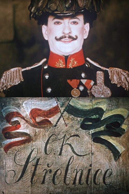 The Shooting Gallery Poster