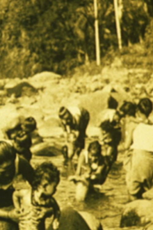 Paddy Culture in India Poster