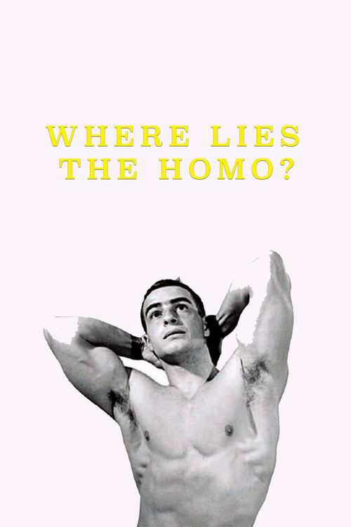 Where Lies the Homo? Poster