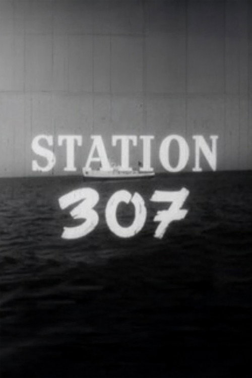 Station 307 Poster