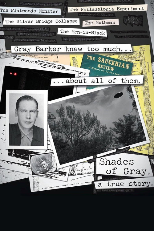 Shades of Gray Poster