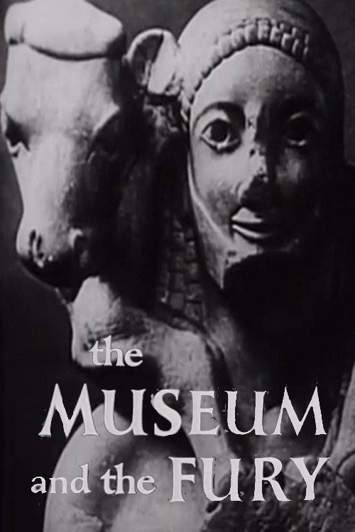 The Museum and the Fury Poster