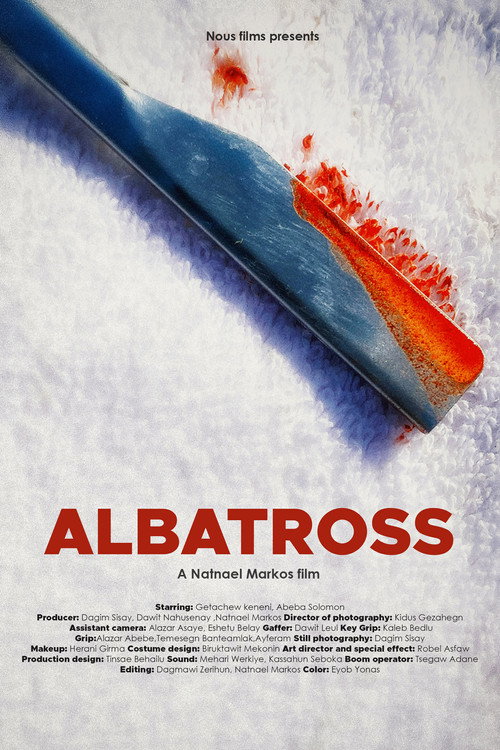 Albatross Poster