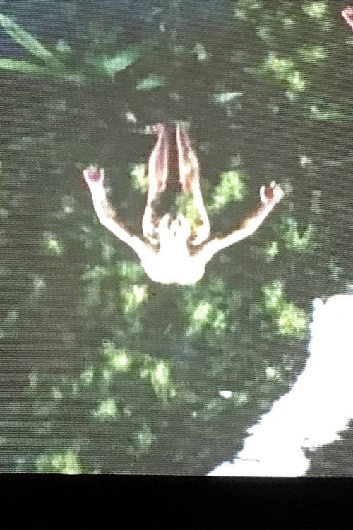 VerveS sulle OndE Poster