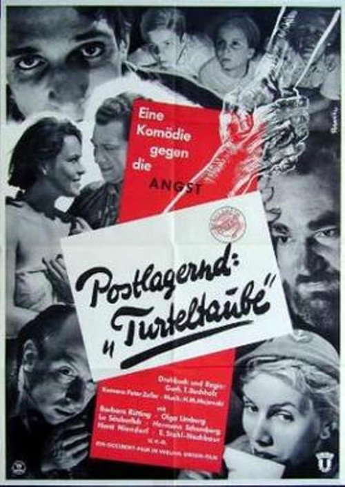 Postlagernd Turteltaube Poster