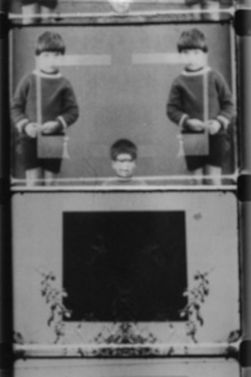 Unstable Figures Amidst Vegetation Poster