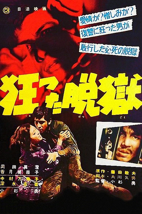 Crazy Jailbreak Poster