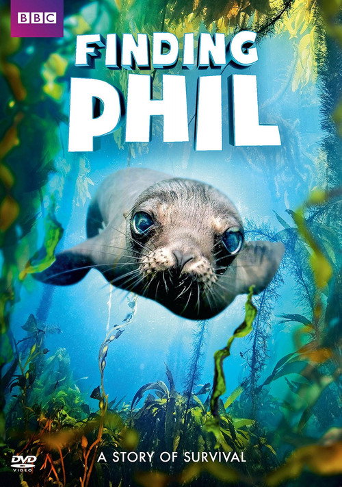 Finding Phil Poster
