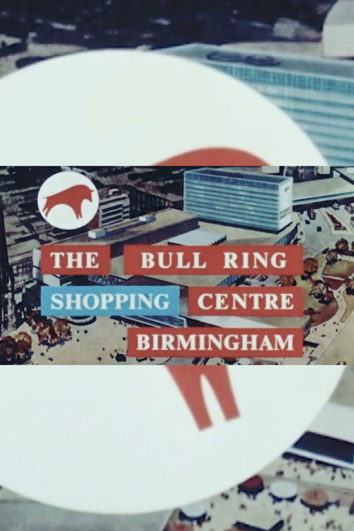 The Bull Ring Shopping Centre Birmingham Poster