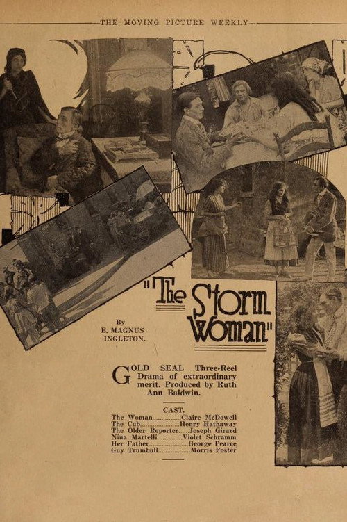 The Storm Woman Poster