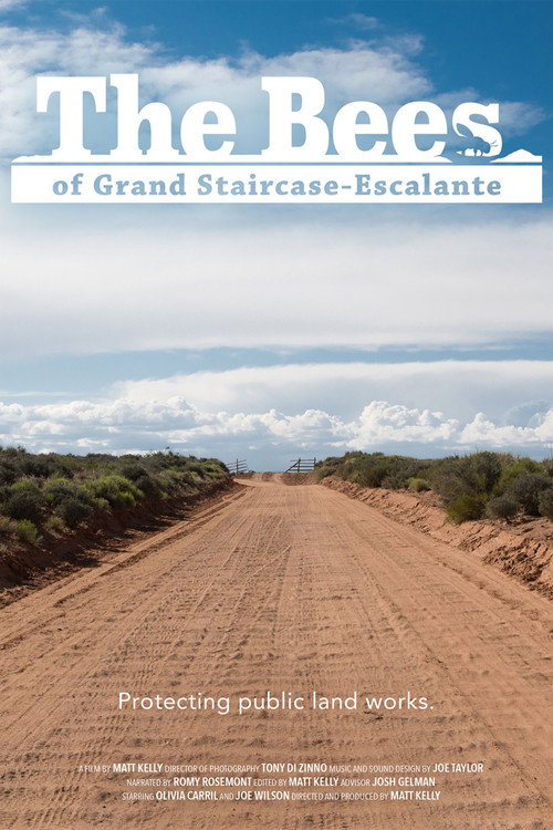 The Bees of Grand Staircase-Escalante Poster